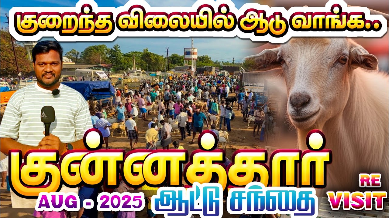 KUNNATHUR GOAT MARKET #veejayLifestyle #food #vlogs #wholesalemarket