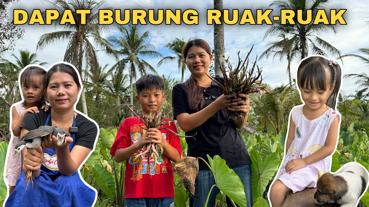 CARI SULUR KELADI BERSAMA LEO ANAK KU, DAN HARI INI ANTAR PAPA PERIKSA MATA LAGI