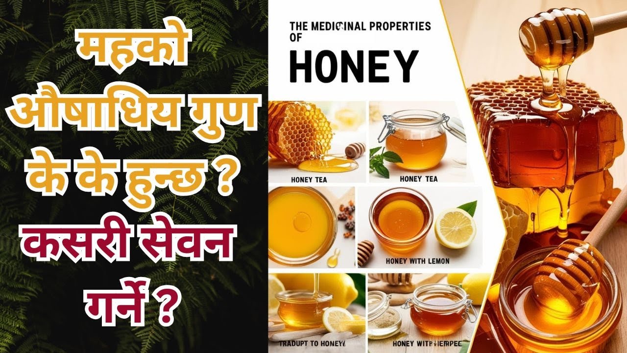 महको औषाधिय गुण के के हुन्छ र कसरी सेवन गर्ने | Medicinal Properties Of Honey