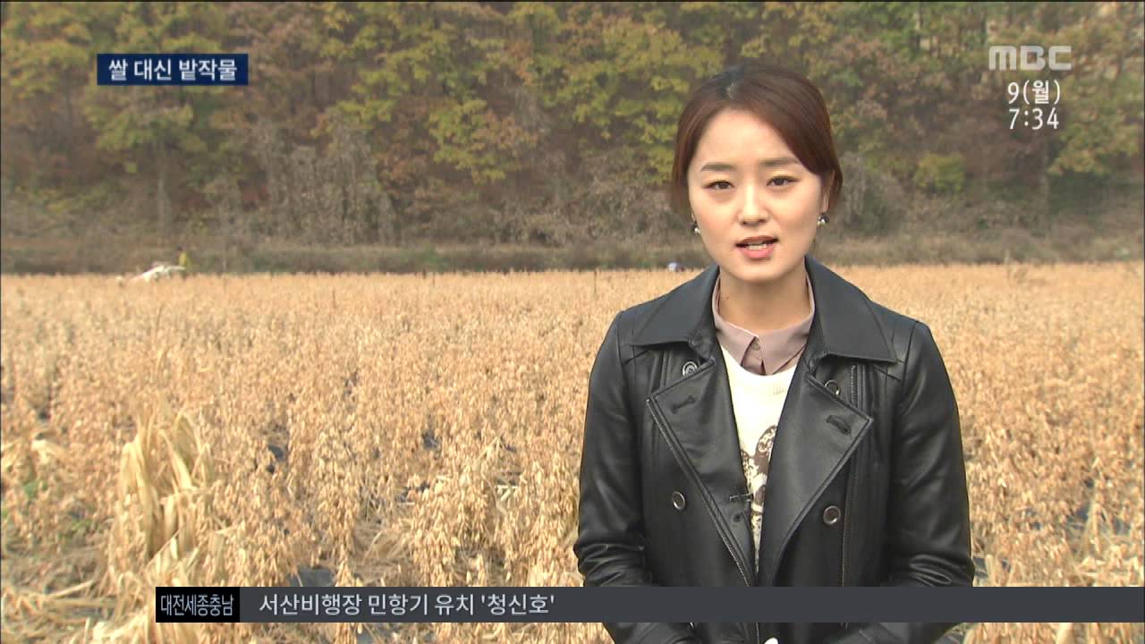 [대전MBC뉴스]충청권-논에서 밭작물 다작 소득도 2~4배