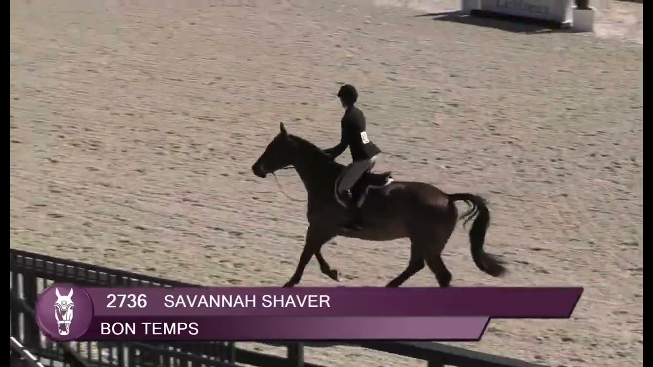 Bon Temps - 3’6” Junior Hunters score 83 for 2nd in the Classic - WEC WCHR Week