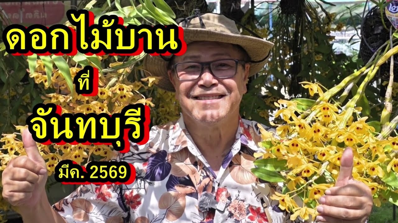 ดอกไม้บานที่จันทบุรี 5-9 มีนาคม 2569,สนามทุ่งนาเชย อ.เมือง จันทบุรี อนันต์ เข็มทอง