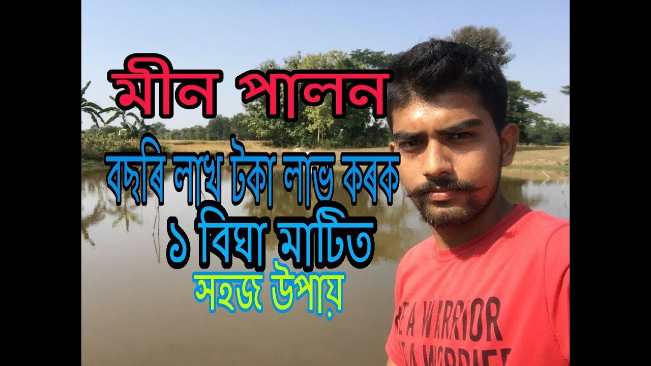 Fish 🐠 farming in assam / Earn upto 1.2 lakh yearly in 1 bigha pond / fish farming process in assam