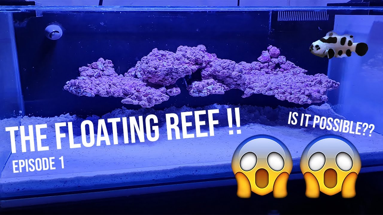 THE FLOATING REEF EP 1 - Is it possible? (Akuarium Air Laut dengan BATU 