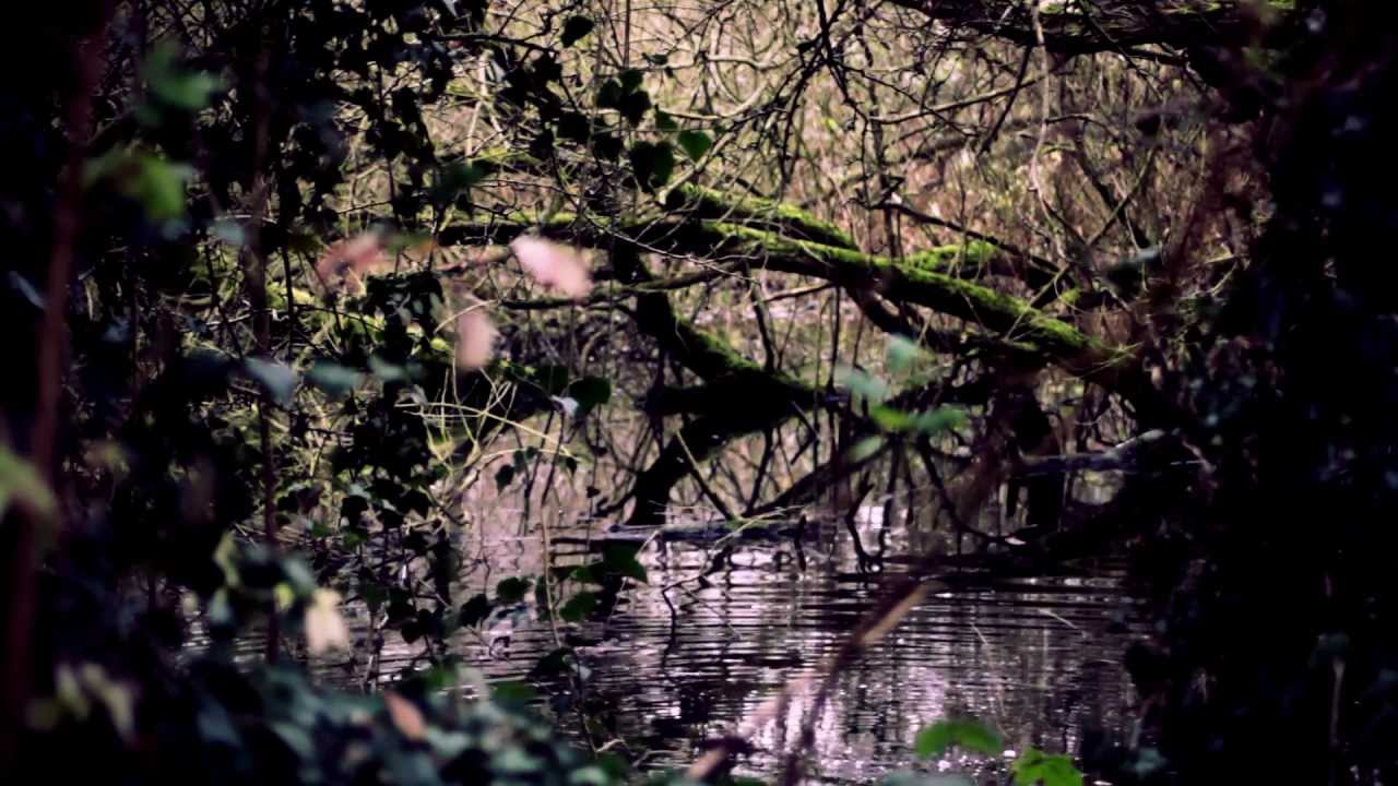 Explore Nottingham