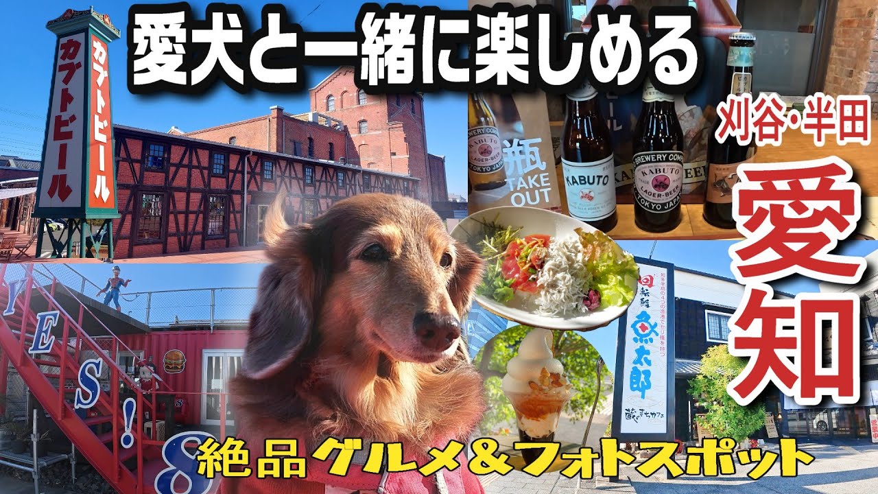 【愛知/半田】愛犬と一日遊べるスポット！まさかビール工場跡地が⁉愛犬と一緒に楽しめた半田市の新発見スポットと周辺グルメ