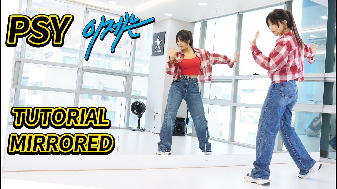 [Tutorial] 싸이(PSY) - 이제는(NOW) 안무 배우기 느리게 거울모드