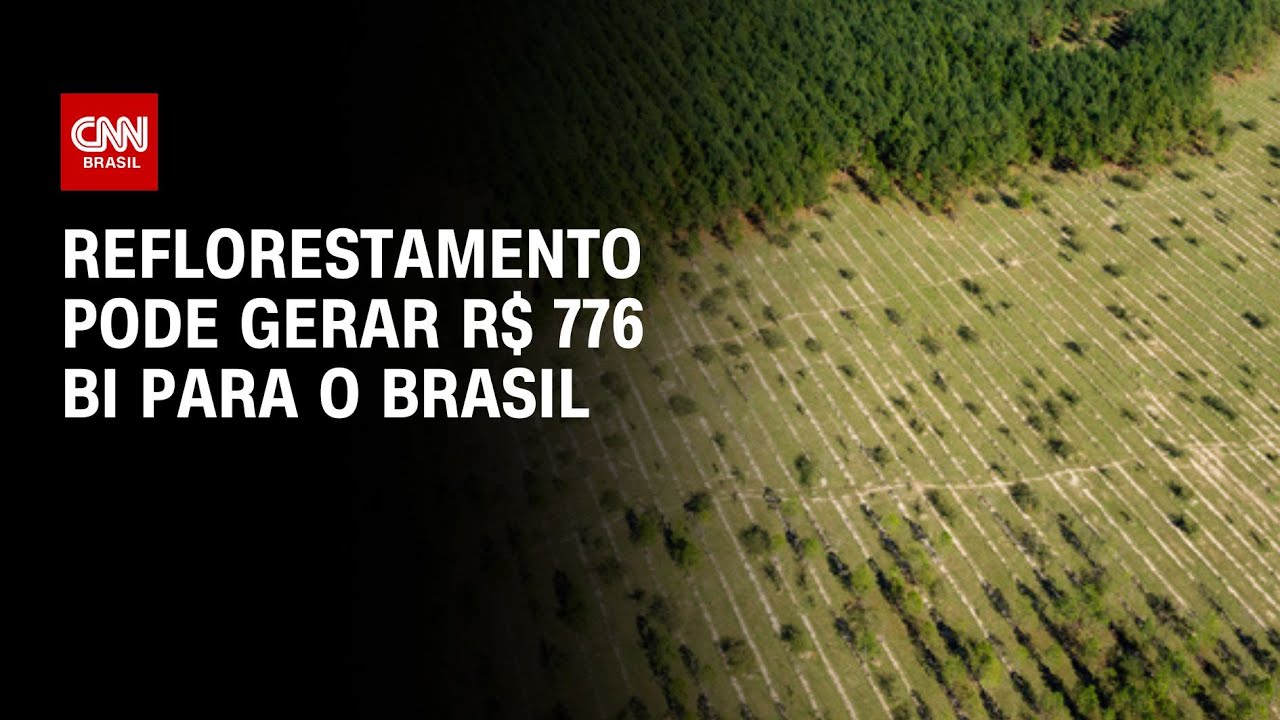 CNN Mais Verde: Reflorestamento pode gerar R$ 776 bilh&otilde;es para o Brasil | CNN NOVO DIA