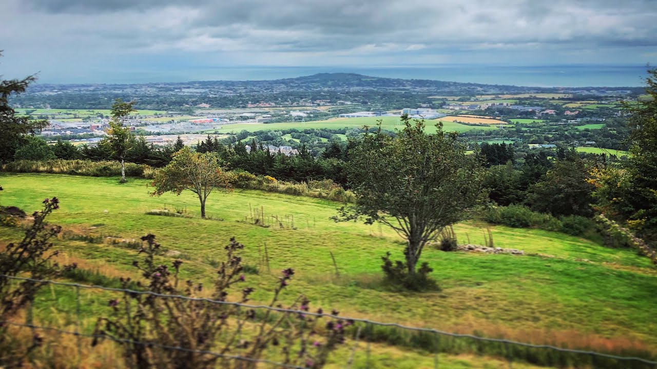 Forest Horse Riding in Wicklow Mountains | The Paddocks Riding Centre | Outdoor Activities Dublin