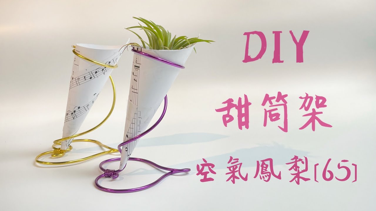 DIY wire 教你如何使用彩色鋁線製作空氣鳳梨  甜筒架 How to make Aluminum wire Air plant