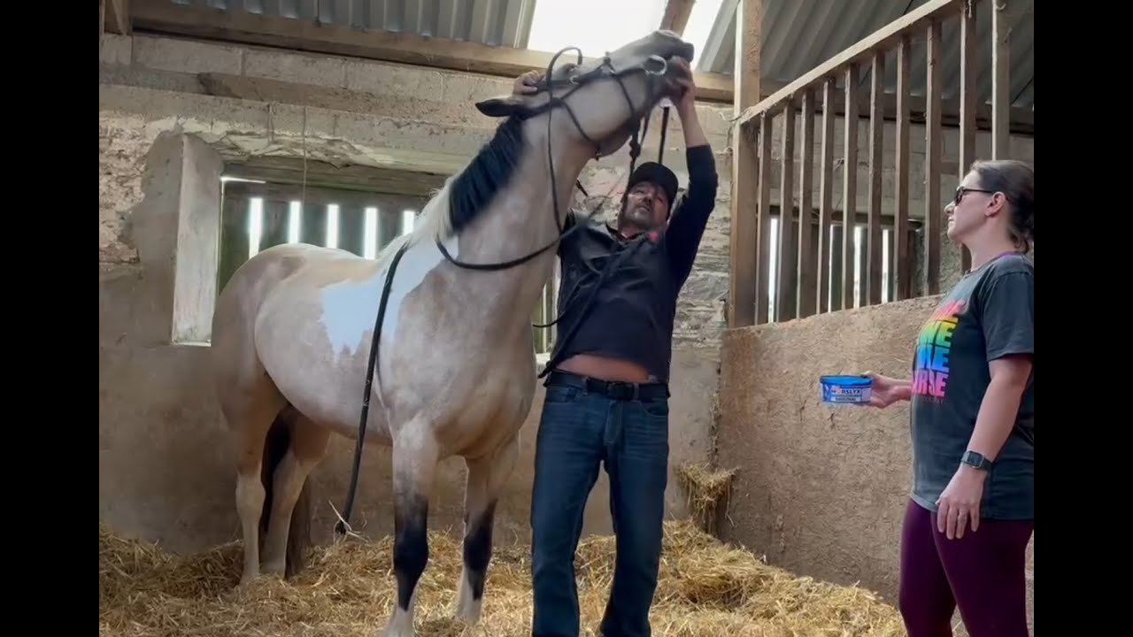 Great Horse Recently Purchased Has One Huge Problem!