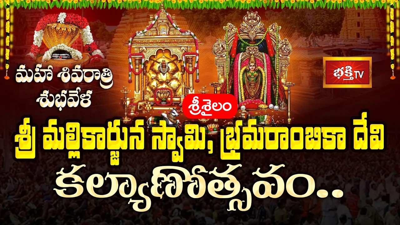 మహా శివరాత్రి శుభవేళ శ్రీ మల్లికార్జున స్వామి, భ్రమరాంబికా దేవి కల్యాణోత్సవం..| Maha Shivaratri 2026