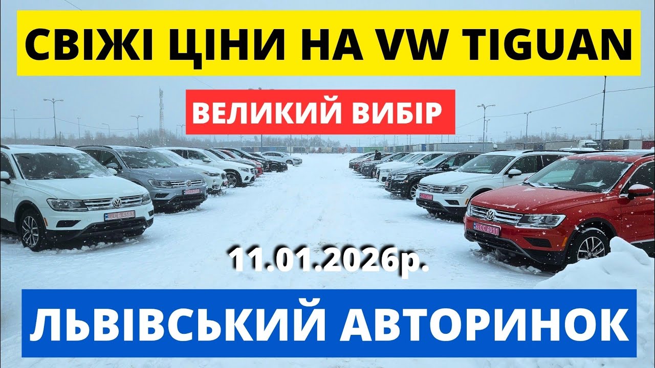 СВІЖІ ЦІНИ НА VW TIGUAN / КАРБАЗАР ЛЬВІВ / 11.01.26р #автопідбірльвів #колоритмоторс #автопідключ