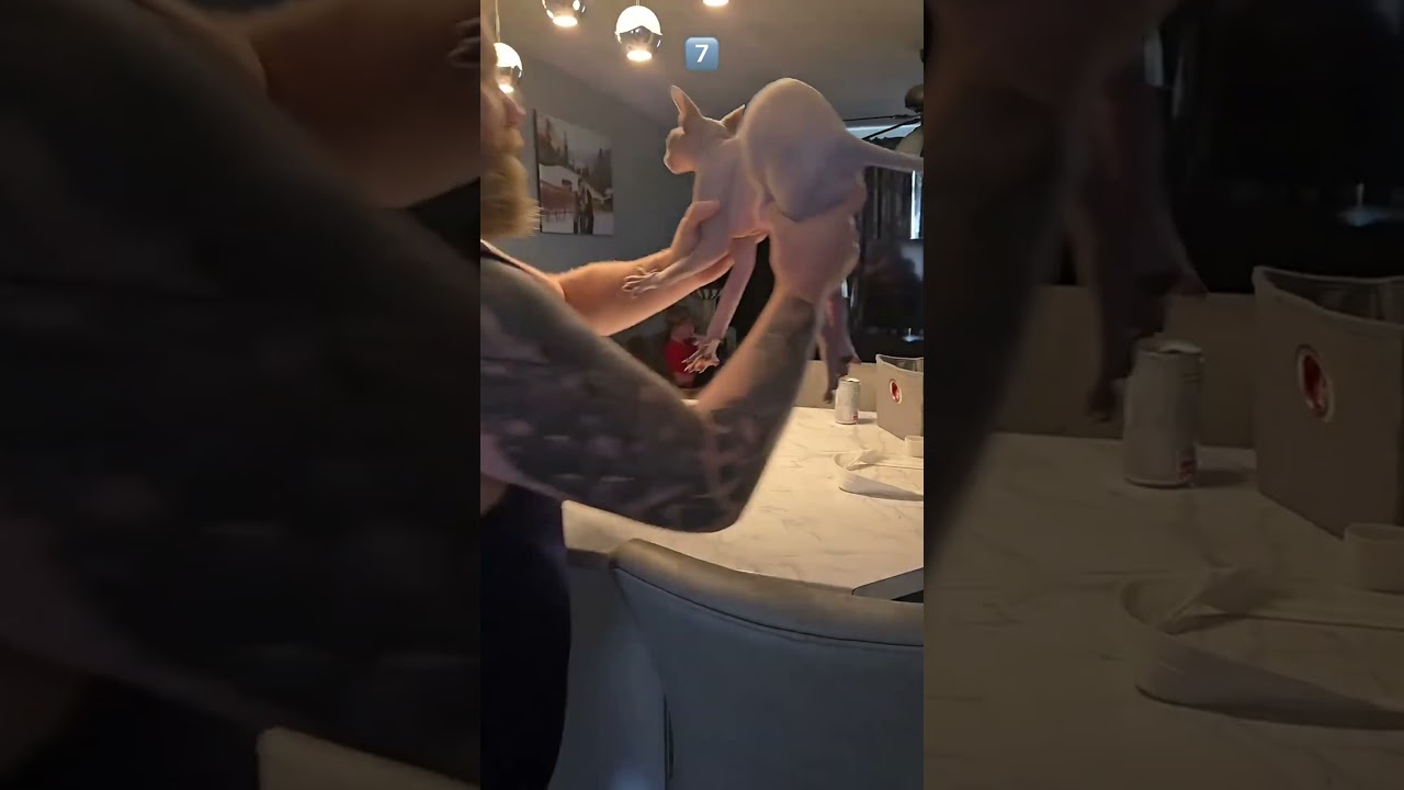 Puppies are just clumsy cuties 🤣 