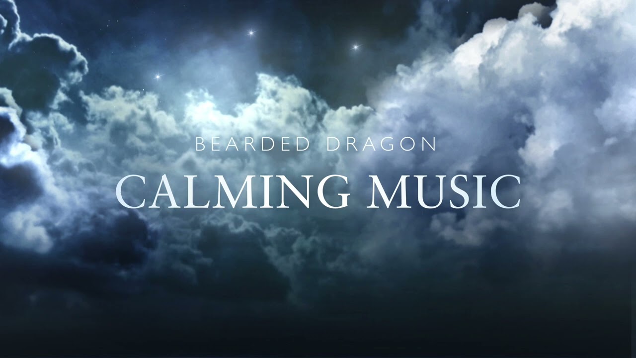 Bearded Dragon Calming Music