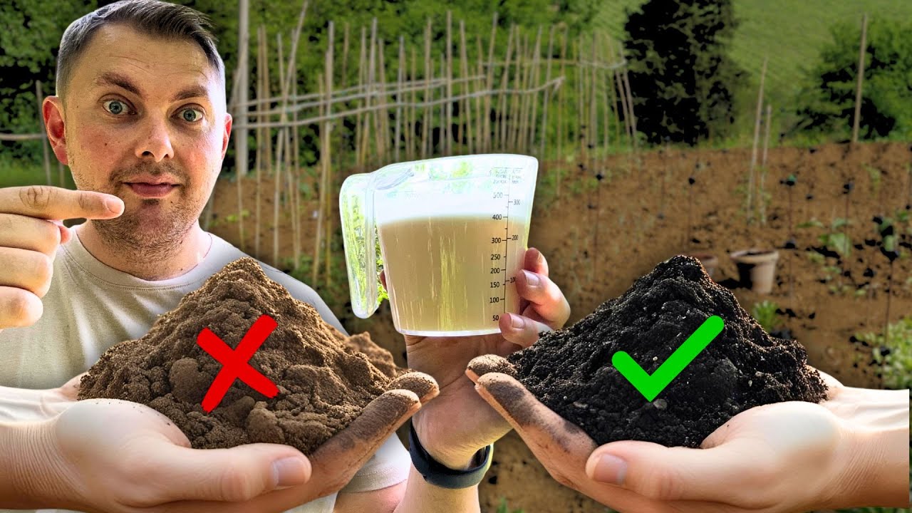 Это решение удвоило мой урожай! 🌱 Почва просто ожила (Помидоры, Огурцы, Баклажаны)