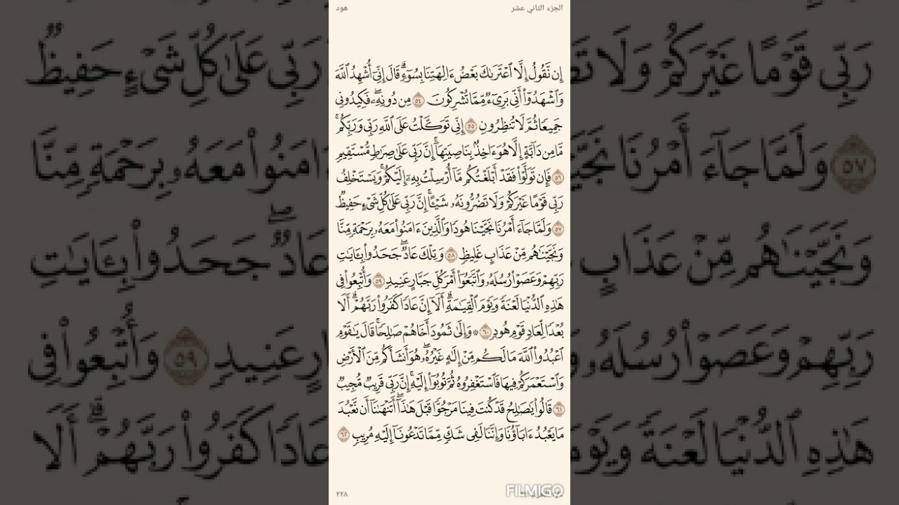 تفسير السعدي صفحة 228 سورة هود من الاية (54) الى الاية (62)