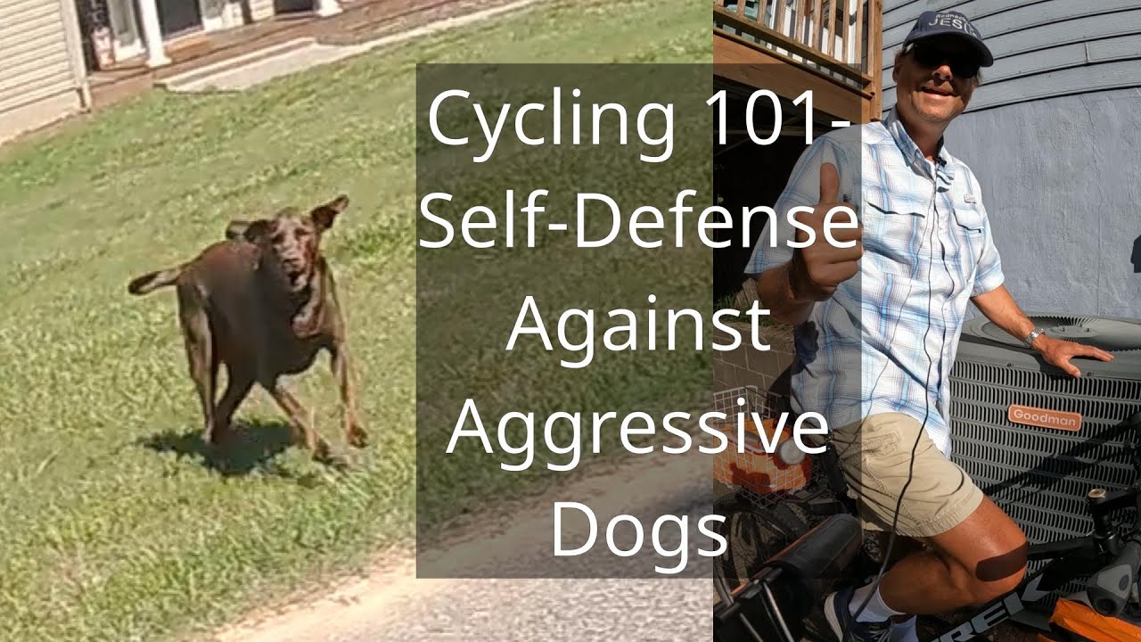 Cycling 101- Self Defense Against Dogs