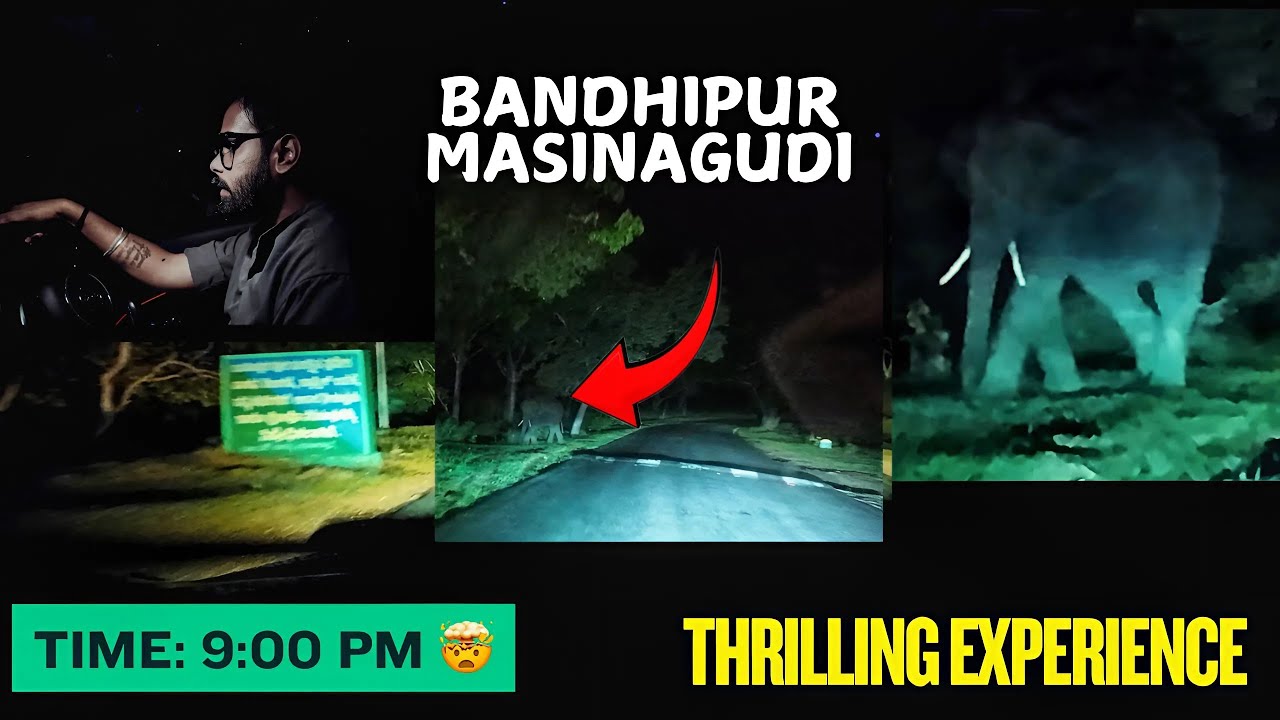 இரவில்  Kattukkul யாணை 🐘 😳: Night Drive In Bandhipur To Ooty In Rain 😱 - Day 2 | Enowaytion Plus