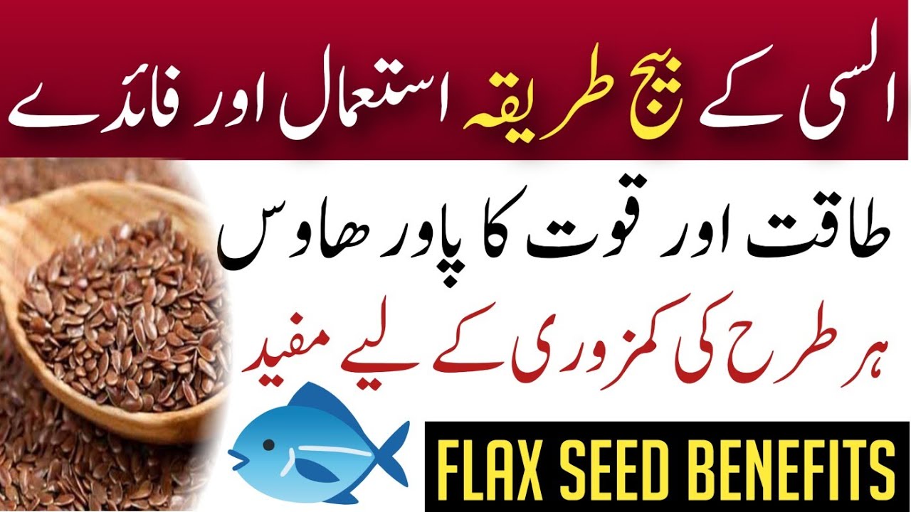Why Alsi Ke Beej Should be a Part of Your Daily Routine: Flaxseed Benefits
