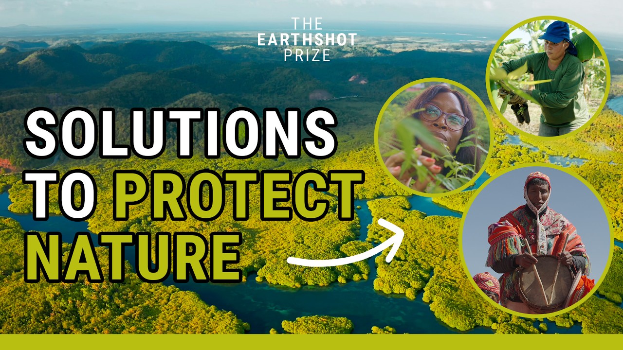 We Can Still Protect Nature - Here&rsquo;s How! | @EarthshotPrize