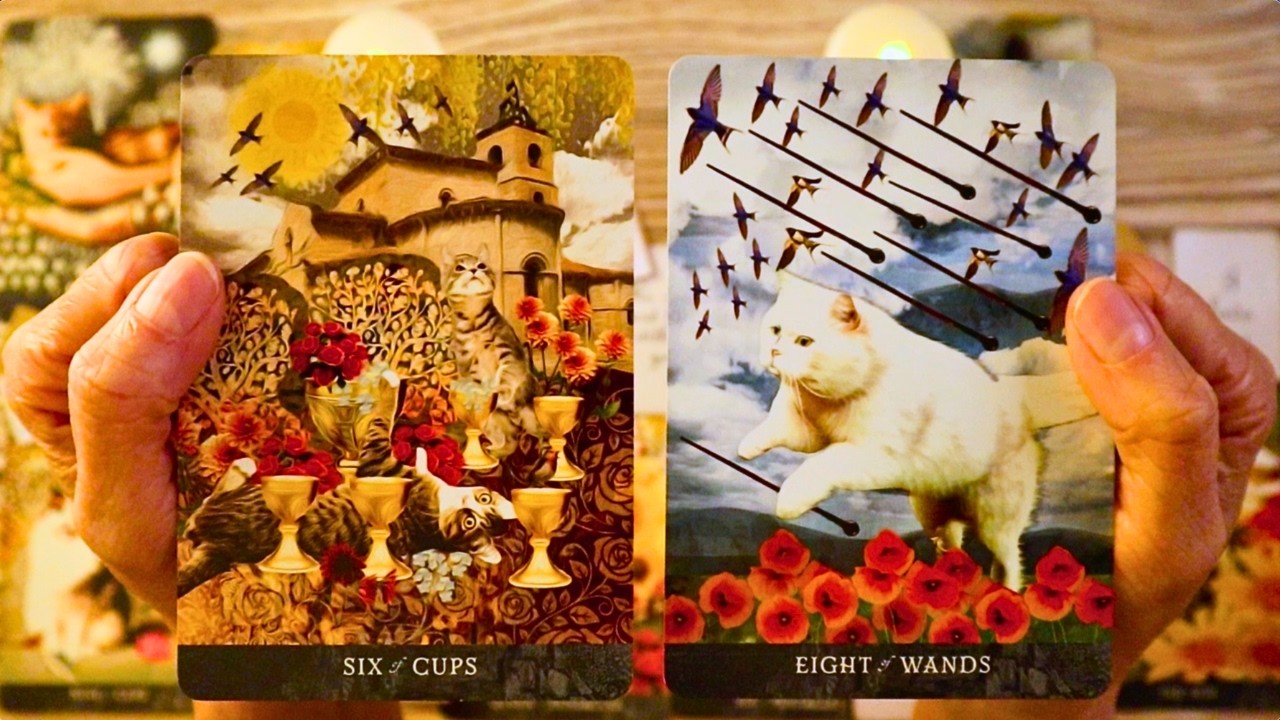 LOVE TAROT ❤️ THEY HAVE SO MUCH TO SAY&hellip; THEY CAN&rsquo;T HOLD THIS BACK ANYMORE!! | Love Tarot