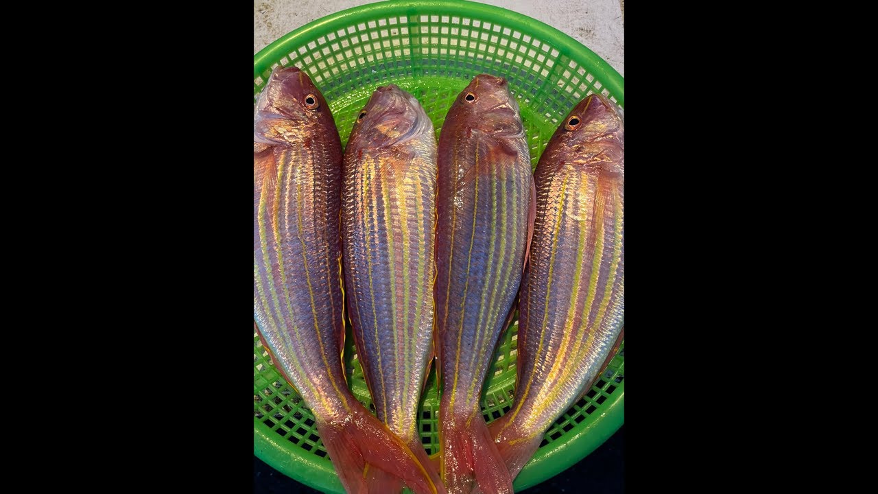 海師傅 海鮮叫賣 南投市育樂路120號0314