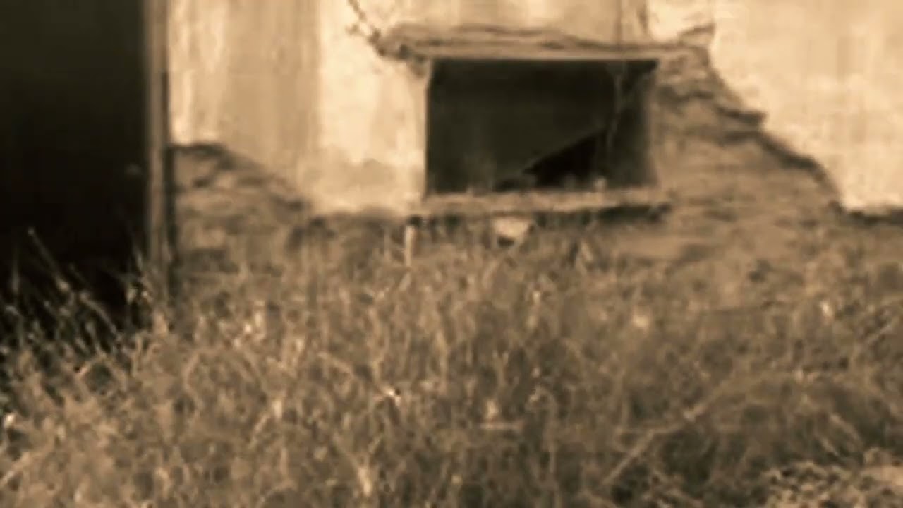 (FREE) Indie Rock x Alternative Rock Type Beat - “GUTSY”