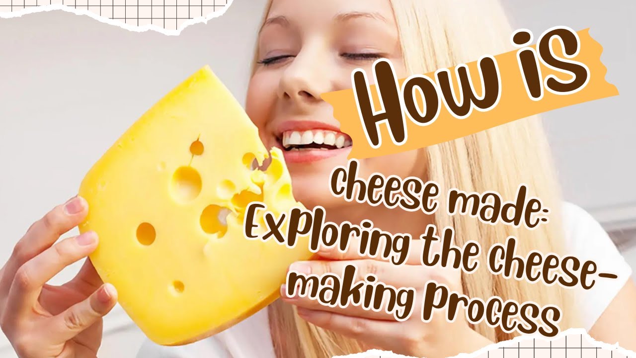 How is cheese made: Exploring the cheese-making process