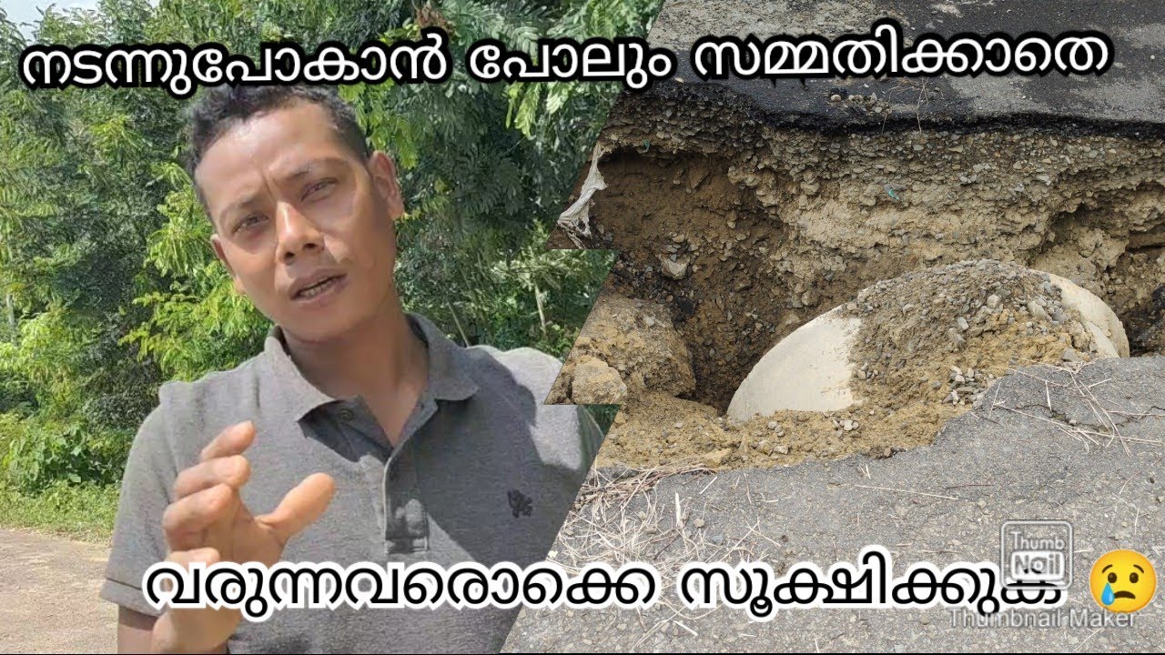 epi163  നടന്നുപോകാൻ പോലും സമ്മതിക്കാതെ 🥲#assam #allindiatravellife