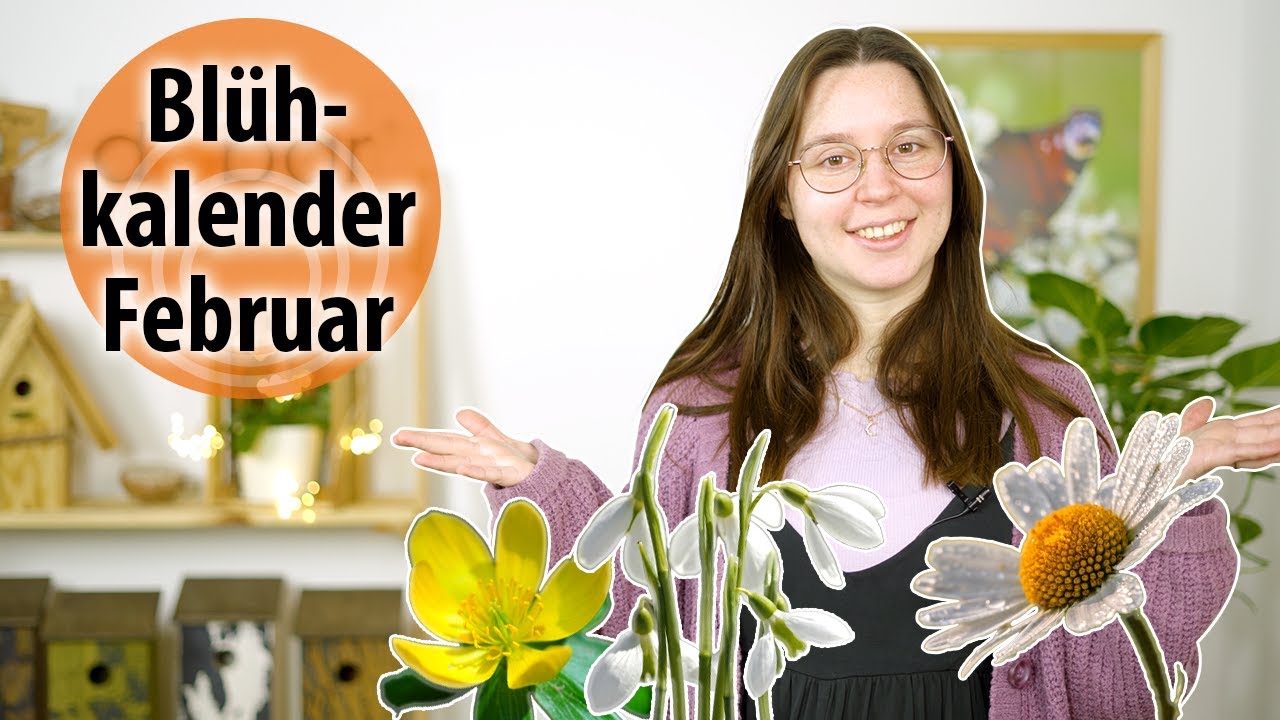 Bl&uuml;hkalender Februar - Insekten in den Garten locken | dobarsmart