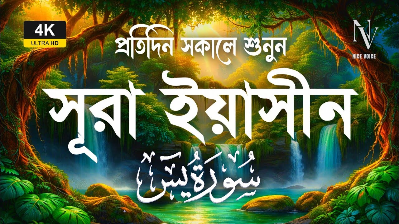 মন হবে প্রশান্ত | প্রতিদিন সকালে শুনুন সূরা ইয়াসিন | Surah Yaseen | Alaa Aqel | Nice Voice