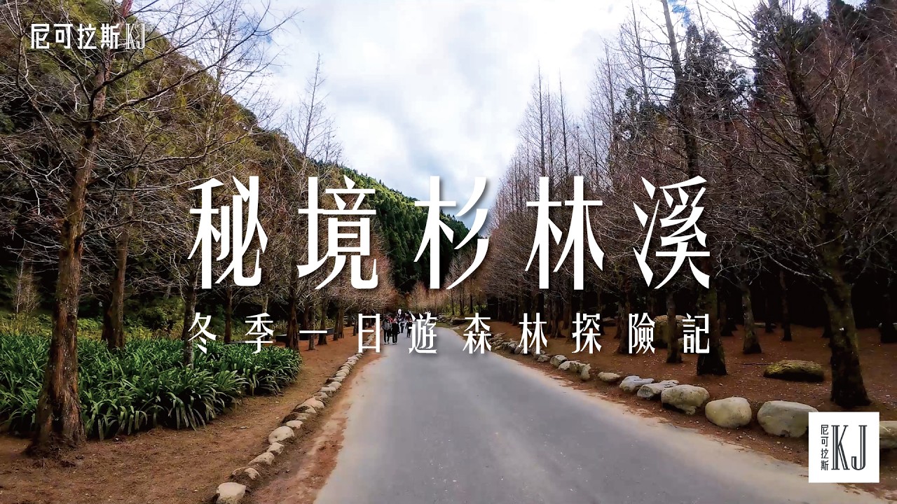 【機車一日遊】杉林溪步道健行｜紫南宮求財好運之旅！