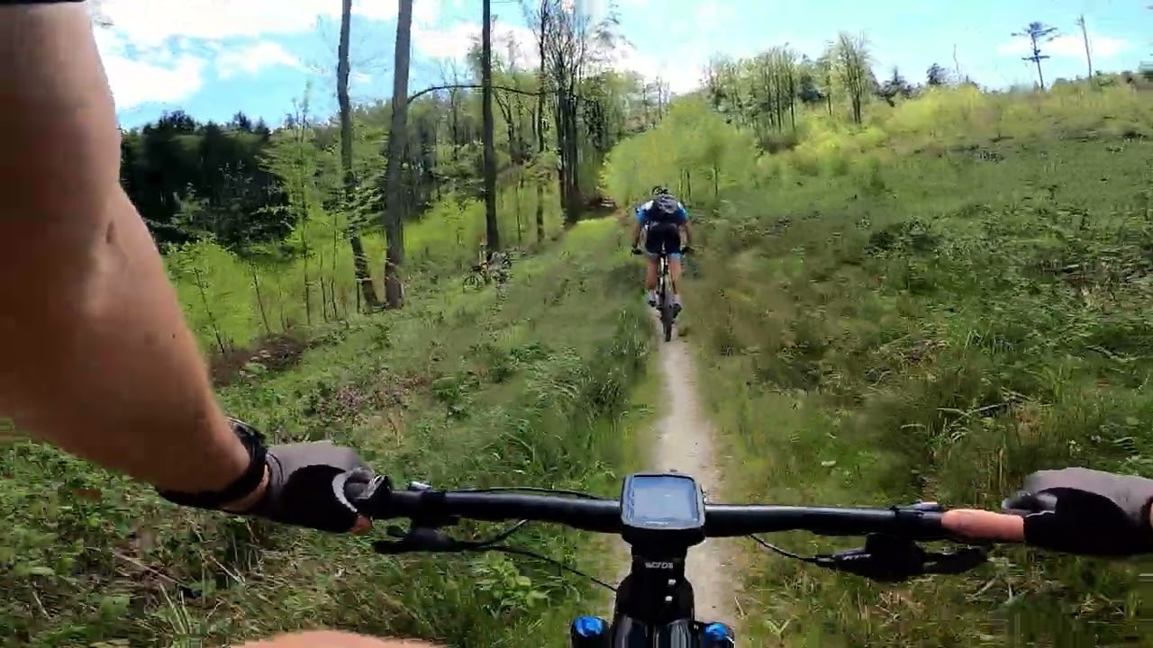 Singletrack Glacensis - Złoty Stok niebieski (zjazd do miasta)