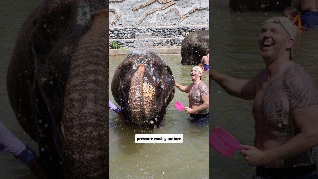 Elephant Water Fight!   Ao Nang Elephant Sanctuary