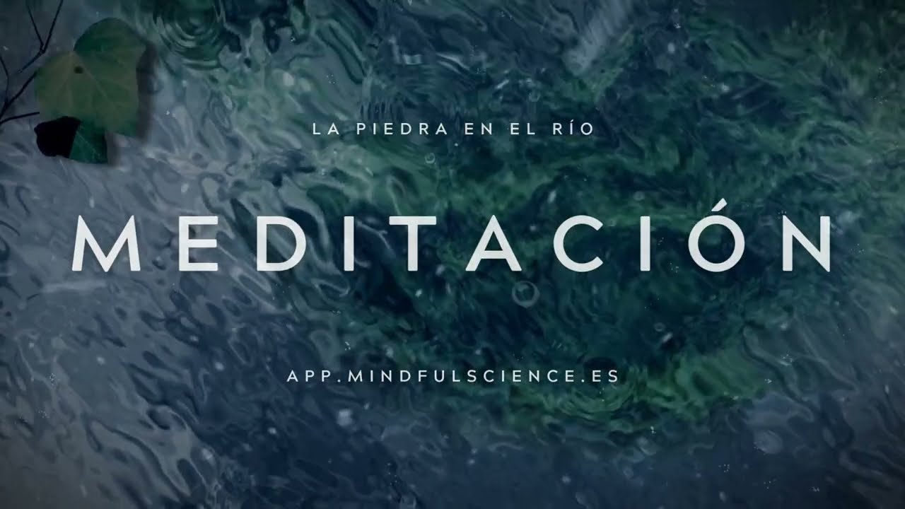 😌DESPIERTA: FIRMEZA Y SERENIDAD🌿Meditación Guiada de la Mañana✨La Piedra en el Río- Mindfulness