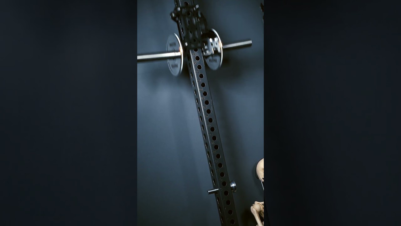 Have You Seen This Power Rack Attachment? Dialed Motion Trolley System!