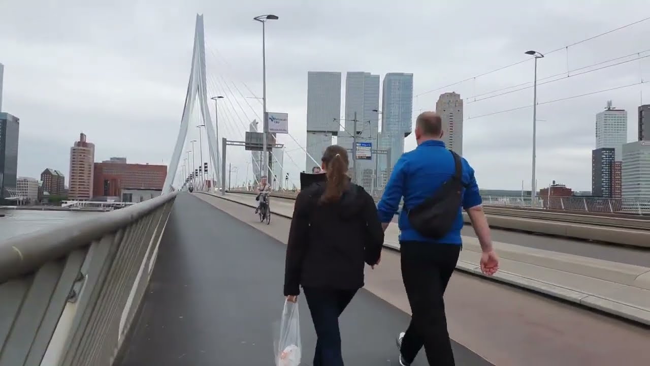 🇳🇱ERASMUSBRUG, ROTTERDAM, THE NETHERLANDS | ERASMUS BRIDGE | JEMBATAN ERASMUS - 4K