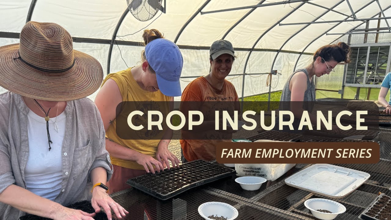 Strategies to Keep Your Payroll Strong: Risk Management and Crop Insurance