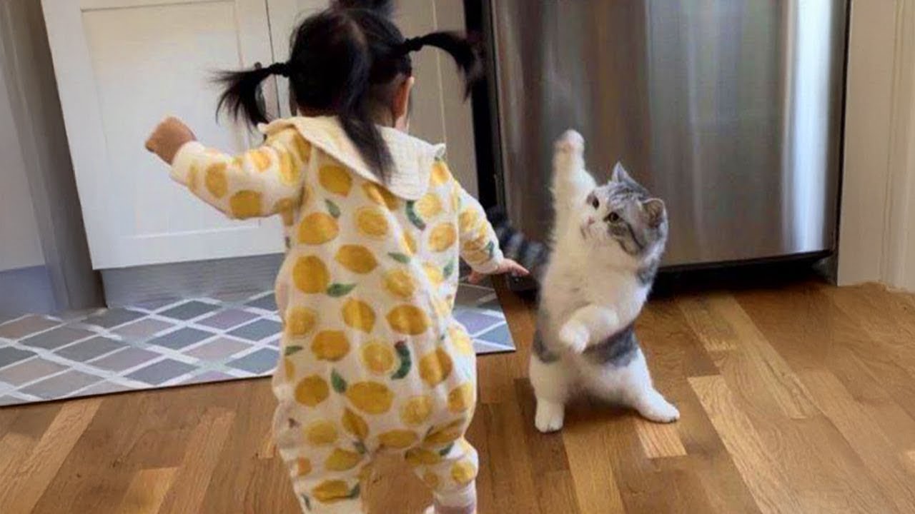 Cats Have The Best Reactions to Meeting a Baby for the First Time ❤️