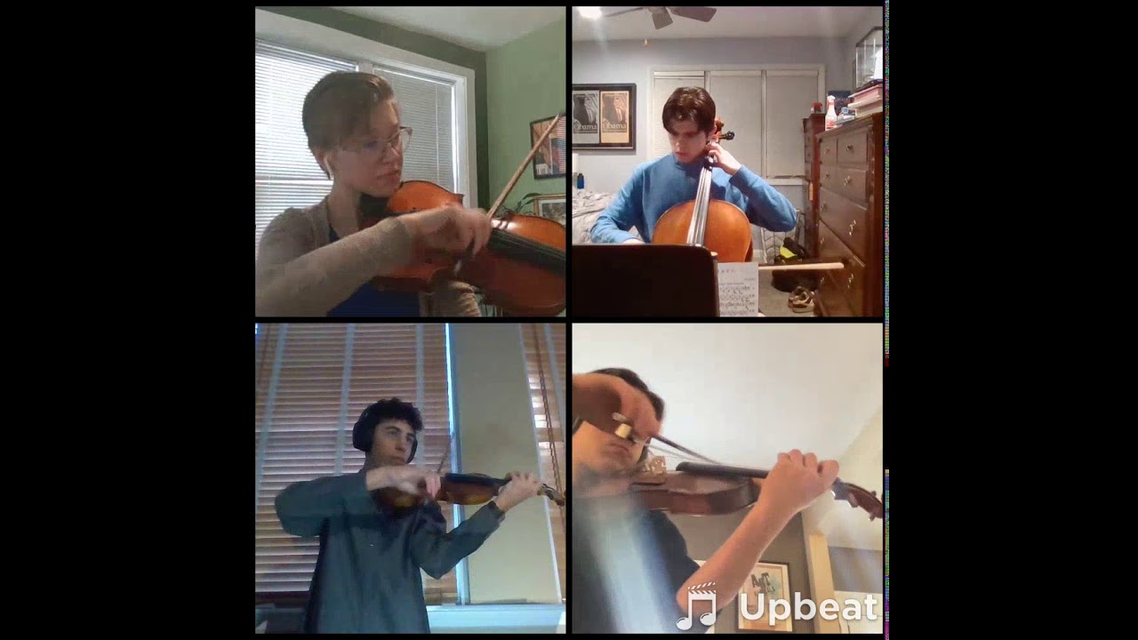 Chamber Orchestra String Quartet - Smetana