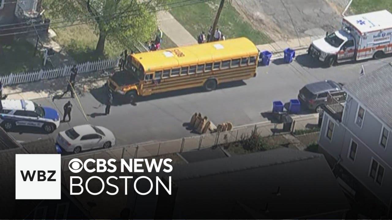 Boy struck and killed by school bus in Hyde Park
