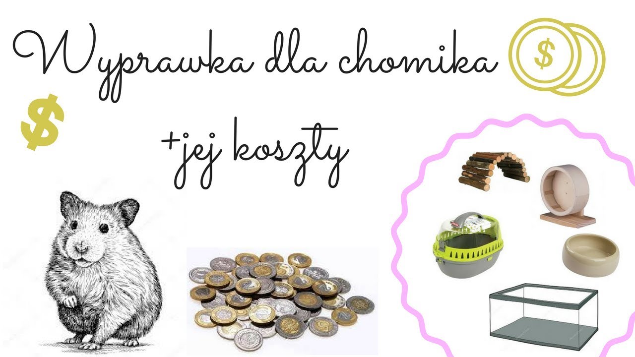 Wyprawka dla chomika+ jej koszty