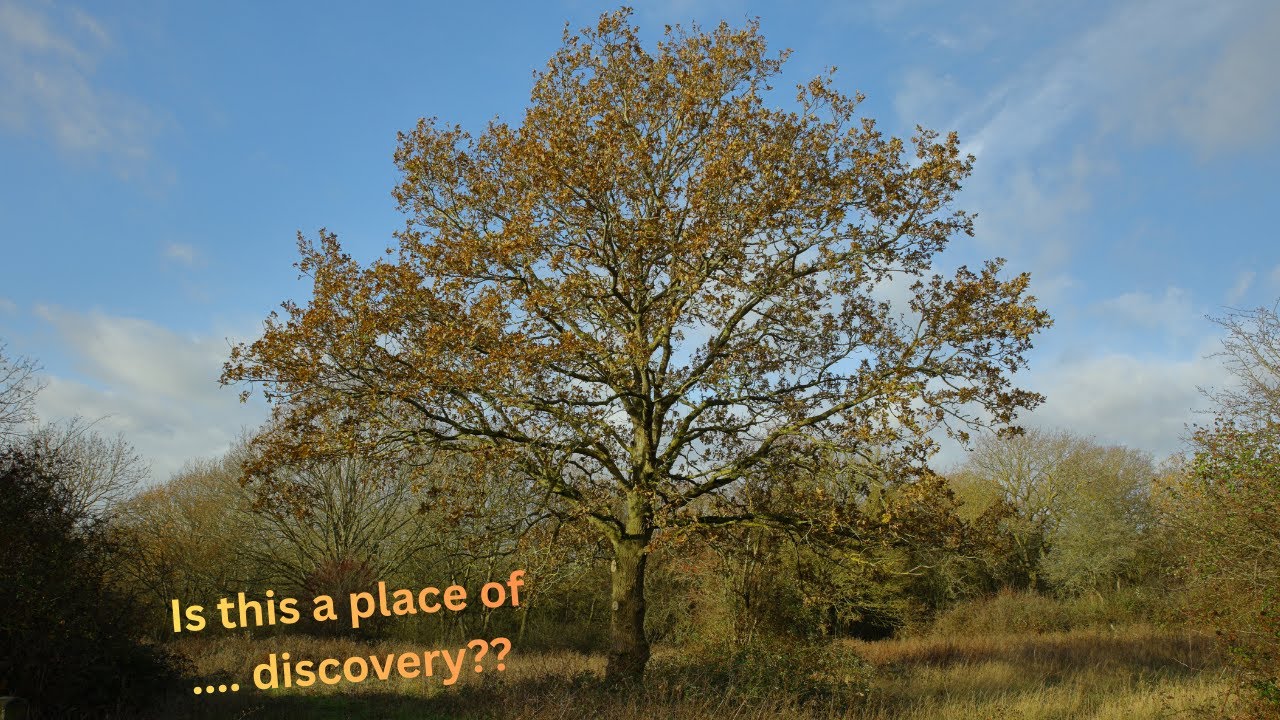 A journey of discovery or is it? Langdon Nature Discovery Park