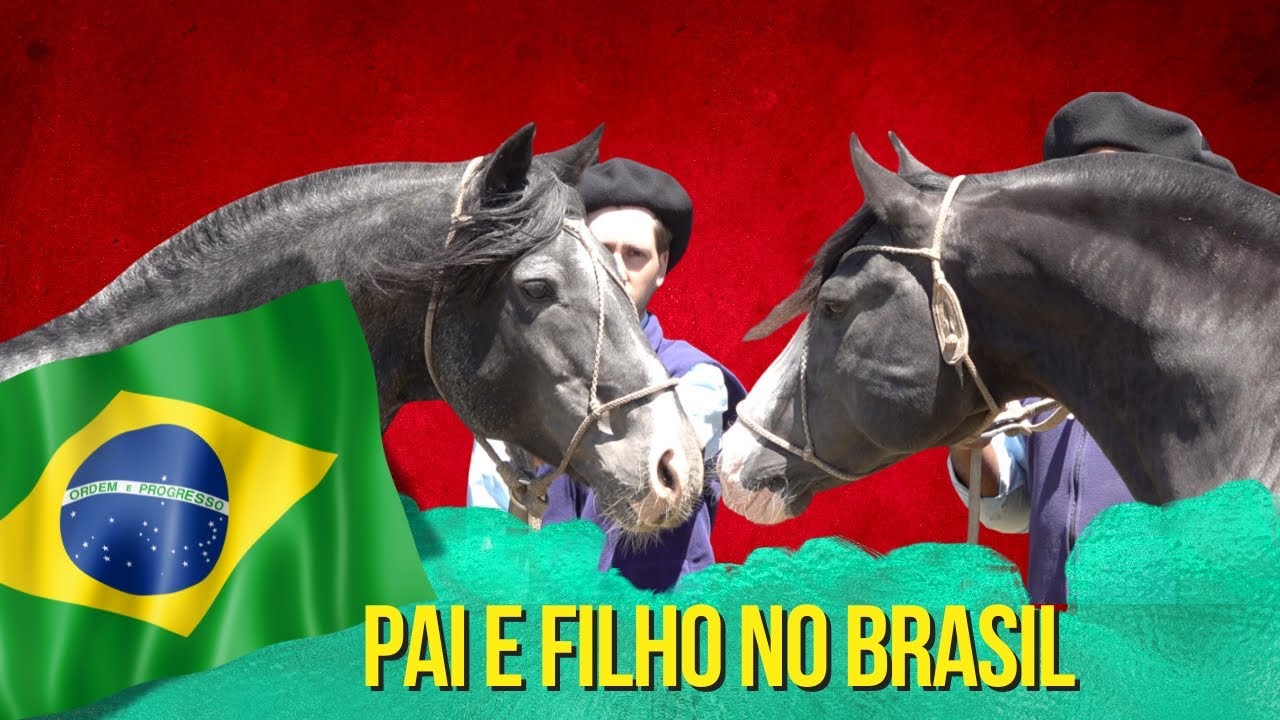 Colibri Matrero e Del Oeste Acierto pai do maior ganhador do Freio de Ouro