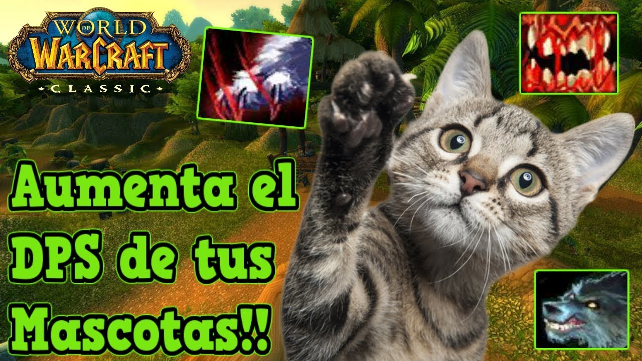 Mejores Poderes de Mascotas de Cazador ● WoW Classic