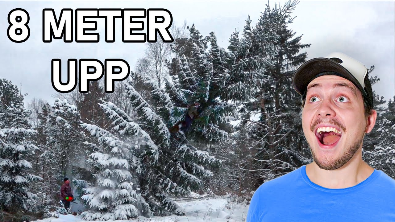 FÄLLER ETT TRÄD MEDANS JAG SITTER I DET!