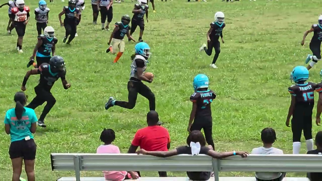 Bullhearted Raiders United vs Memphis Dolphins 12u 2nd half