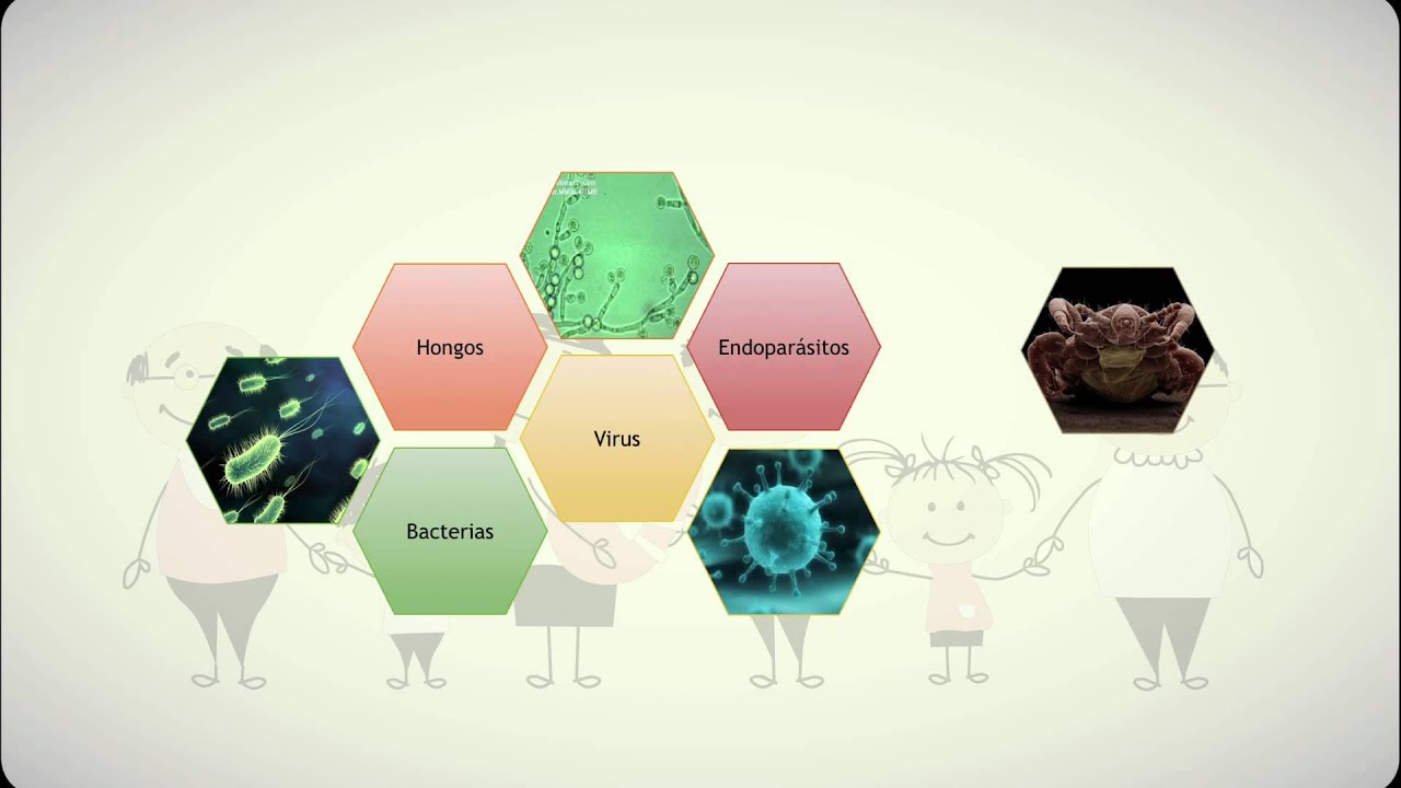 Enfermedades Infectocontagiosas