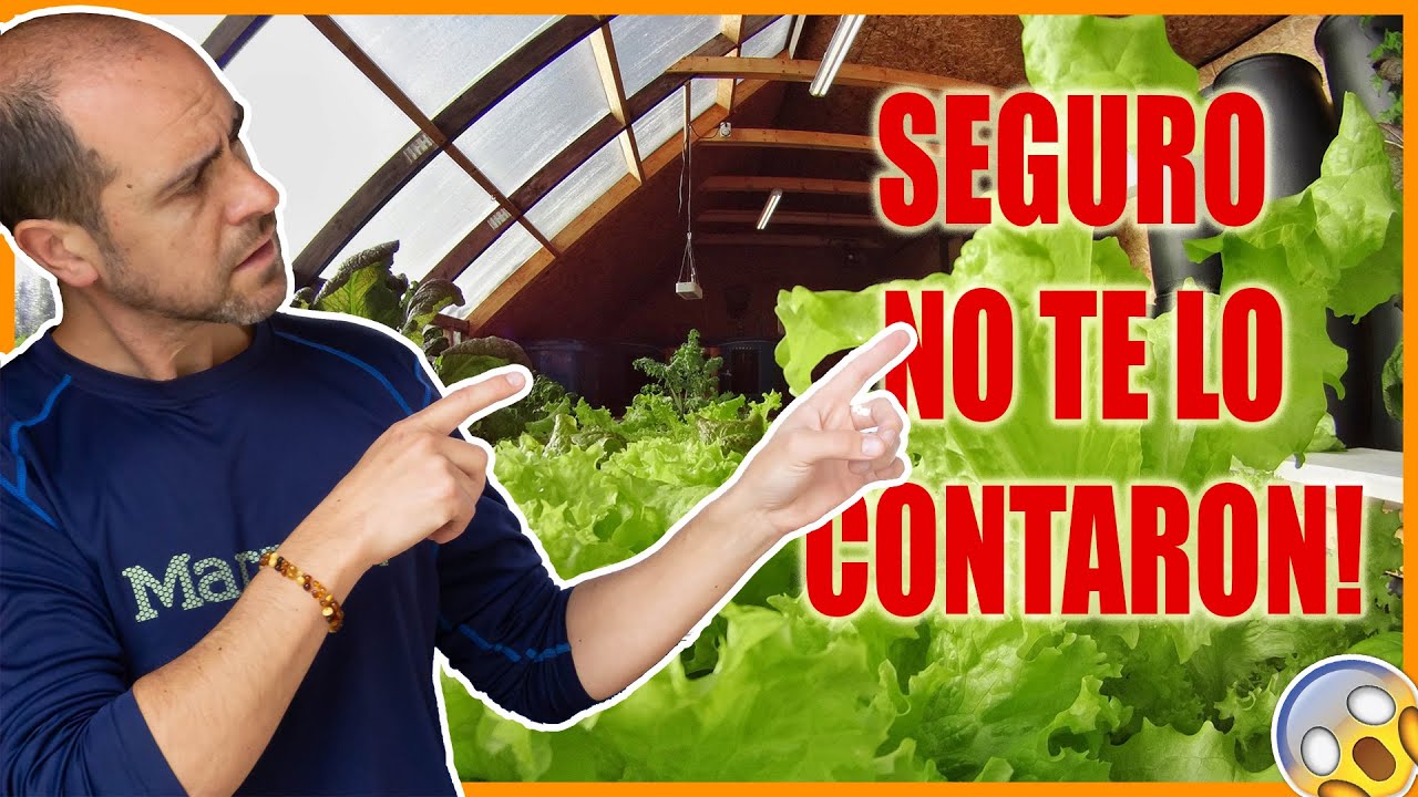 Partes, componentes y  un GRAN TIP!👌🏼. #2 Aprende Acuaponía Paso a Paso (curso gratis)